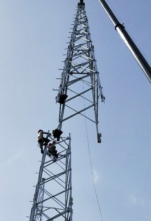 某部油庫(kù)重地四角避雷塔案例